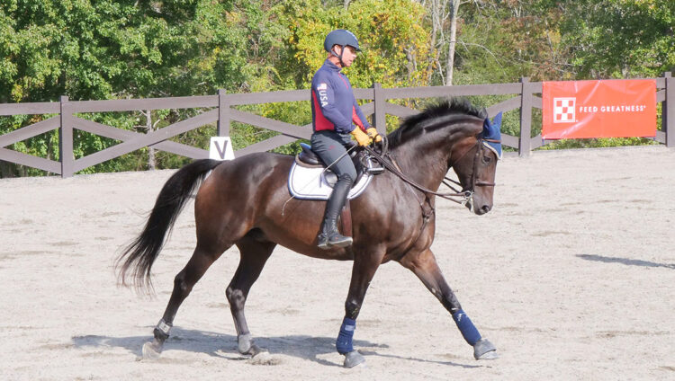 Steffen Peters on Dean