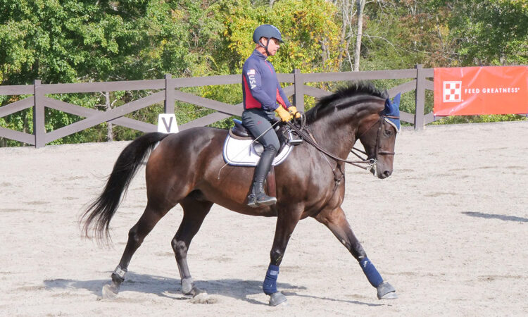 Steffen Peters on Dean