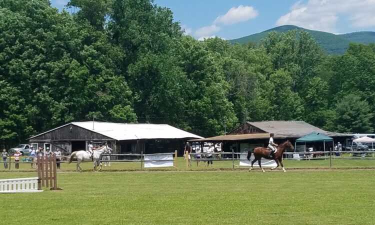Woodstock Riding Club