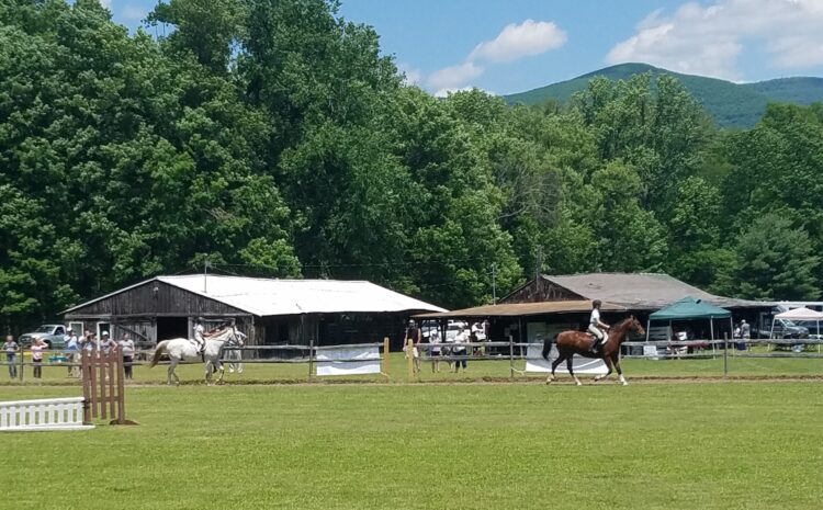 Woodstock Riding Club