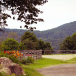 Inner Circle Farm