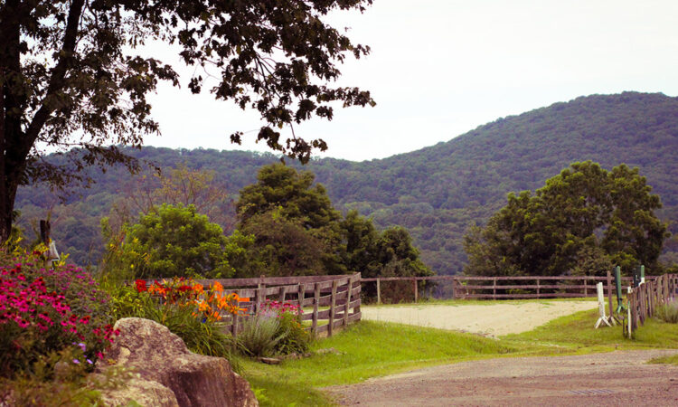 Inner Circle Farm