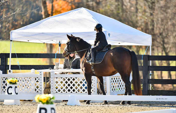 Hudson Valley Dressage Series