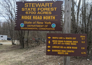 Stewert State Forest