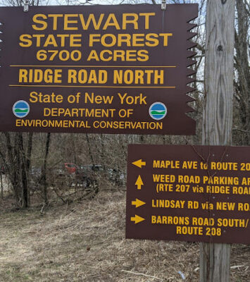 Stewert State Forest