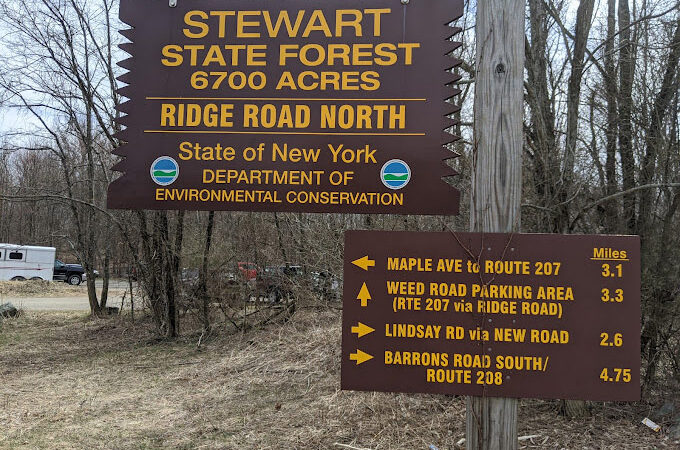 Stewert State Forest