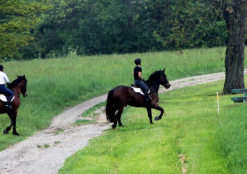 Wethersfield Estate and Garden