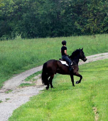 Wethersfield Estate and Garden