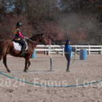 Ulster County Horse Council Horse Show